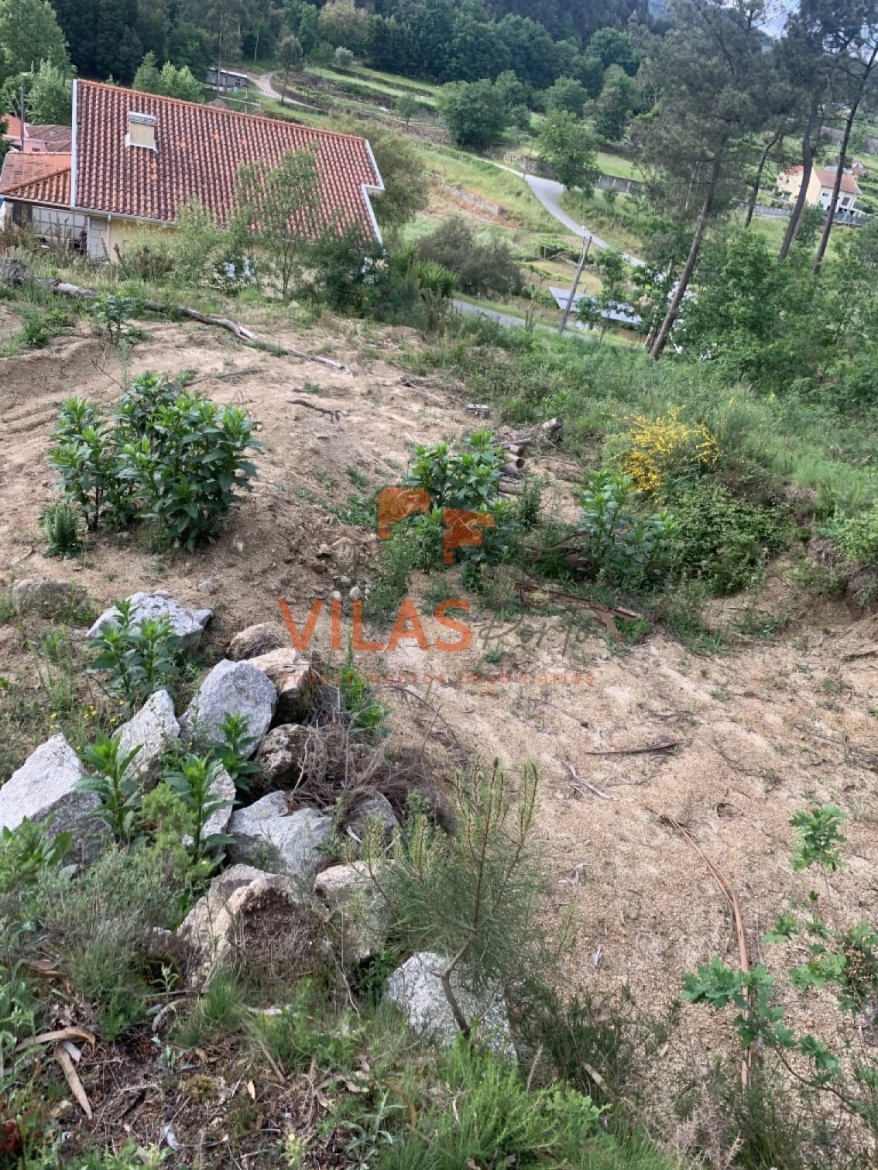 Terreno para Venda em Paço de Sousa Foto 3