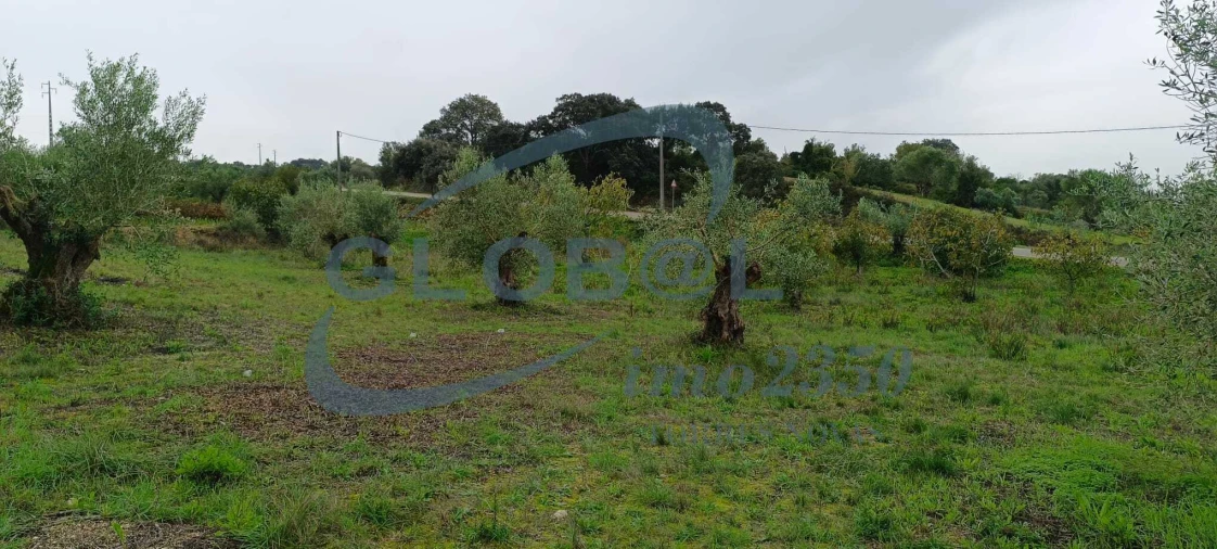 Terreno para Venda em Assentiz Foto 10