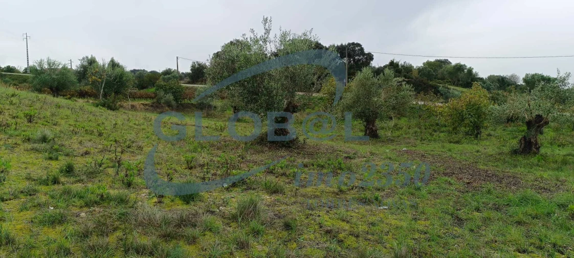 Terreno para Venda em Assentiz Foto 6