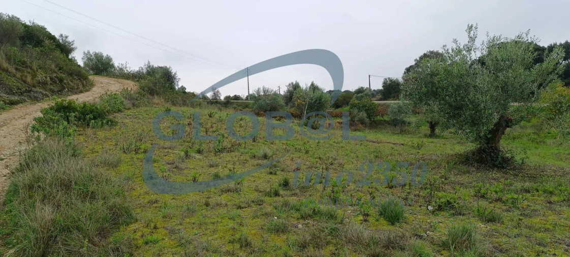 Terreno para Venda em Assentiz Foto 8