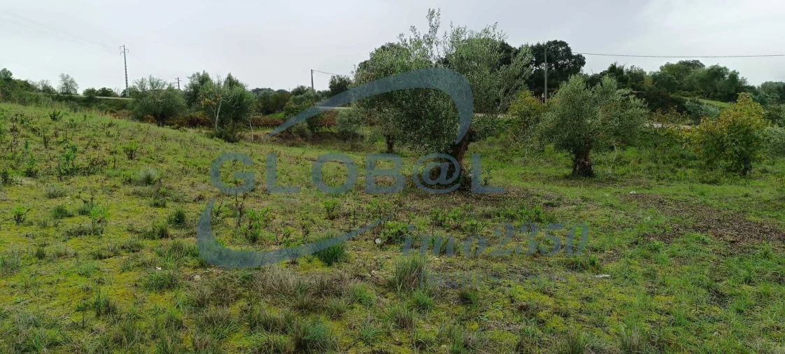 Terreno para Venda em Assentiz Foto 7