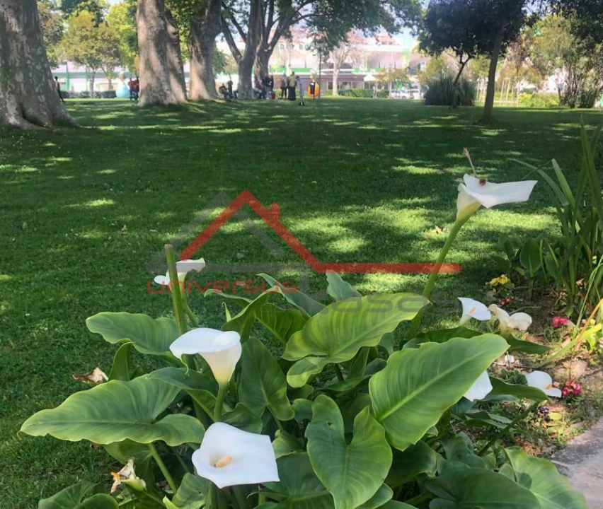 Terreno para Venda em União das Freguesias de Setúbal Foto 11