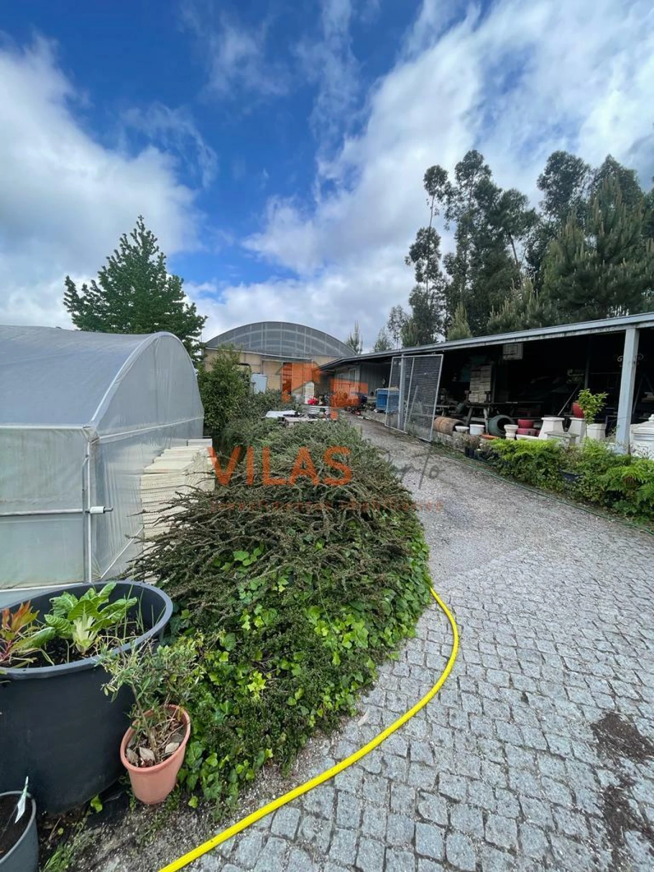 Terreno para Venda em Recezinhos (São Martinho) Foto 4