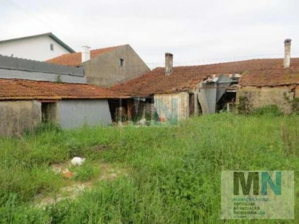Terreno para Venda em São Martinho do Bispo e Ribeira de Frades Foto 1