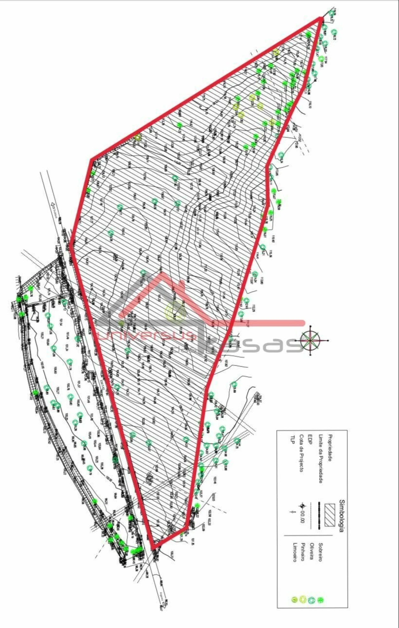 Terreno para Venda em Gambia-Pontes-Alto da Guerra Foto 15