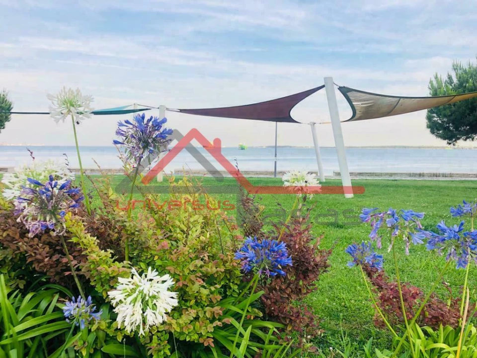 Terreno para Venda em Gambia-Pontes-Alto da Guerra Foto 9