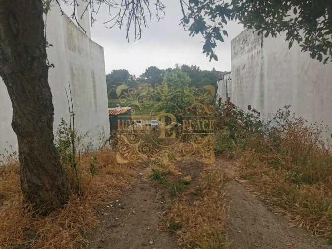 Terreno para Venda em Sesimbra (Castelo) Foto 8