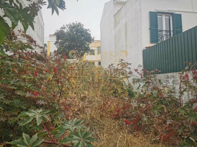 Terreno para Venda em Sesimbra (Castelo) Foto 4