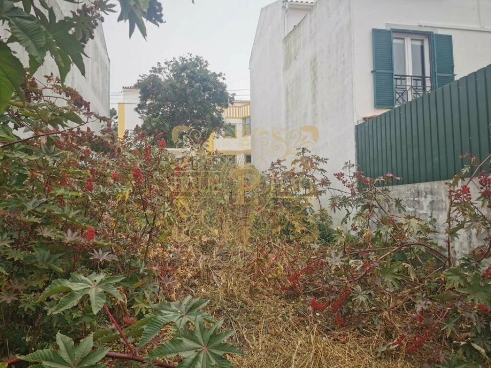 Terreno para Venda em Sesimbra (Castelo) Foto 4