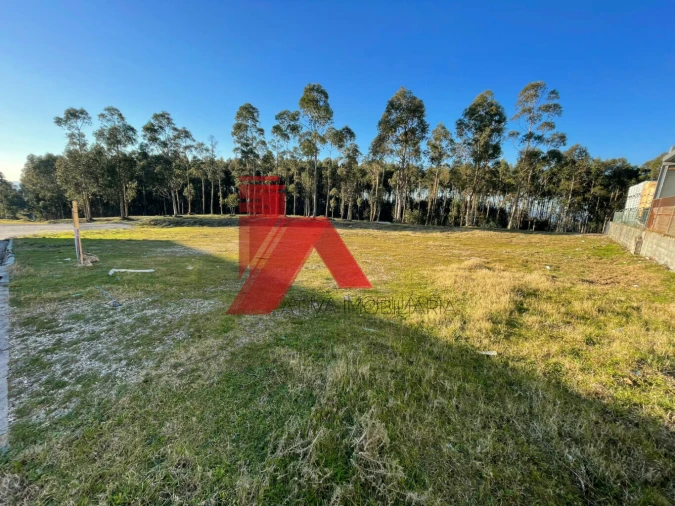 Terreno para Venda em Este (São Pedro e São Mamede) Foto 3