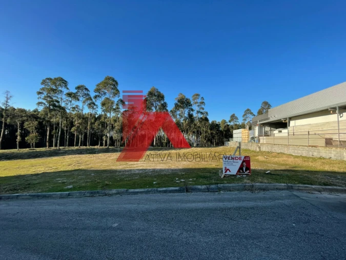Terreno para Venda em Este (São Pedro e São Mamede) Foto 1