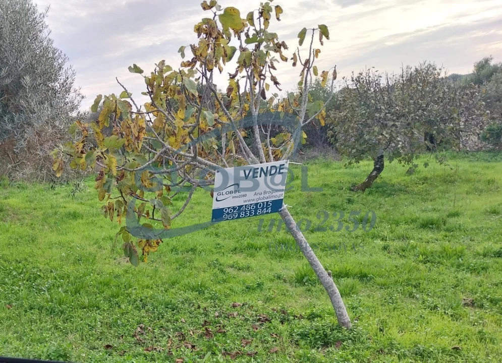 Terreno para Venda em Assentiz Foto 1