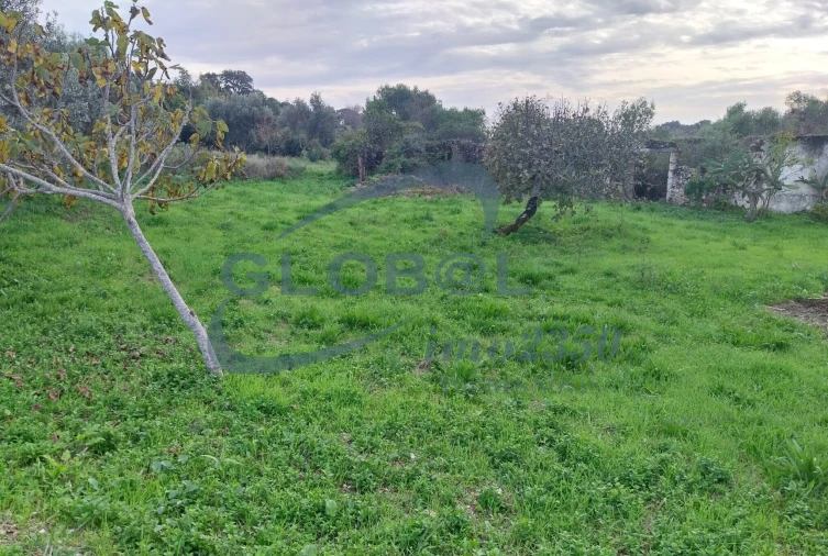 Terreno para Venda em Assentiz Foto 3