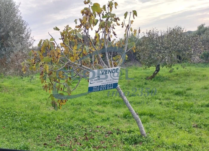 Terreno para Venda em Assentiz