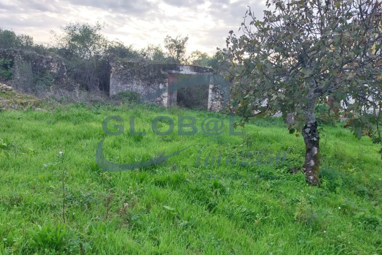 Terreno para Venda em Assentiz Foto 2