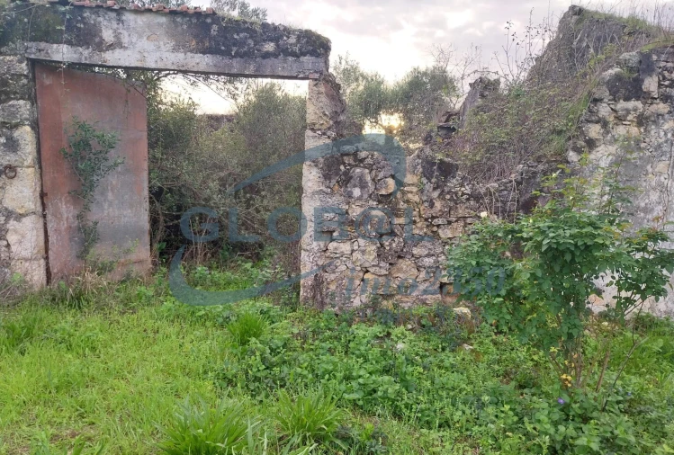 Terreno para Venda em Assentiz Foto 5