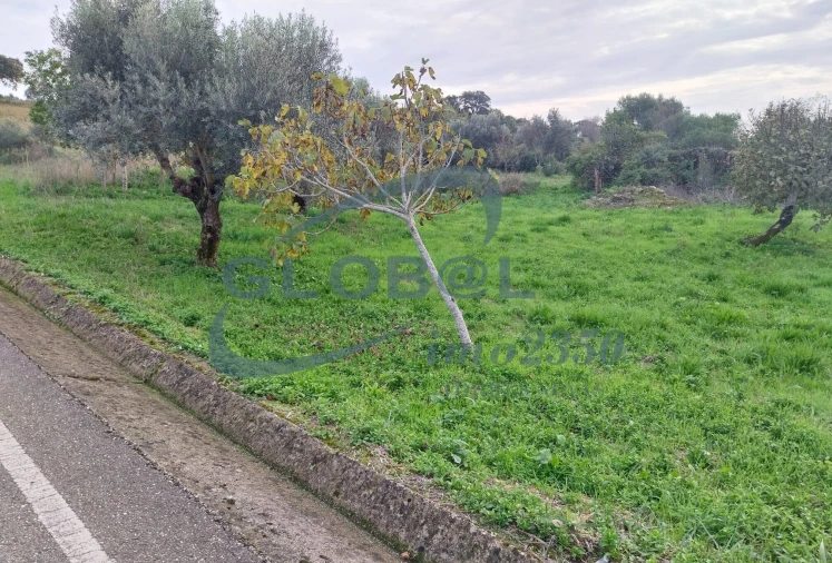 Terreno para Venda em Assentiz Foto 6