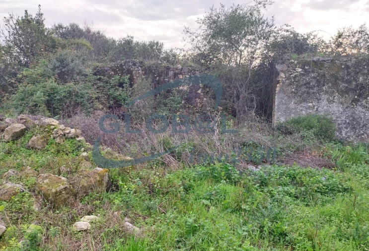 Terreno para Venda em Assentiz Foto 4