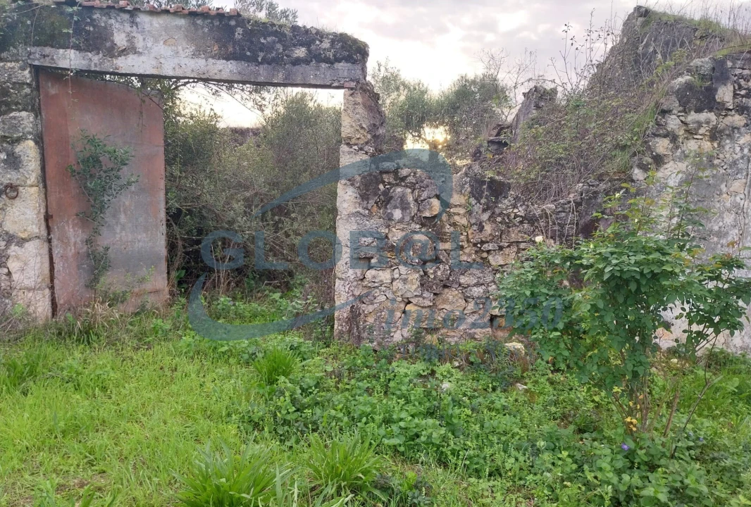 Terreno para Venda em Assentiz Foto 5