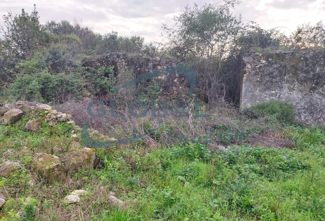 Terreno para Venda em Assentiz Foto 4