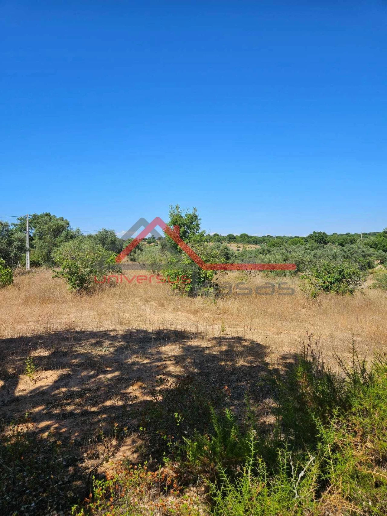 Terreno para Venda em Cabeção Foto 2