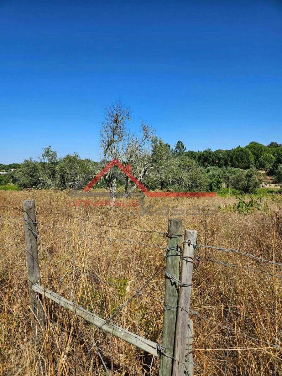 Terreno para Venda em Cabeção Foto 3