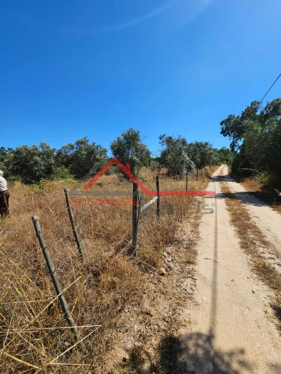 Terreno para Venda em Cabeção Foto 1