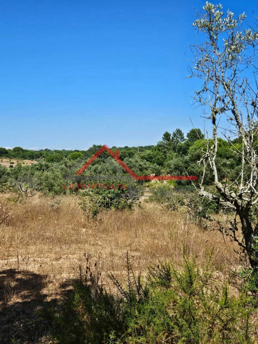 Terreno para Venda em Cabeção Foto 5