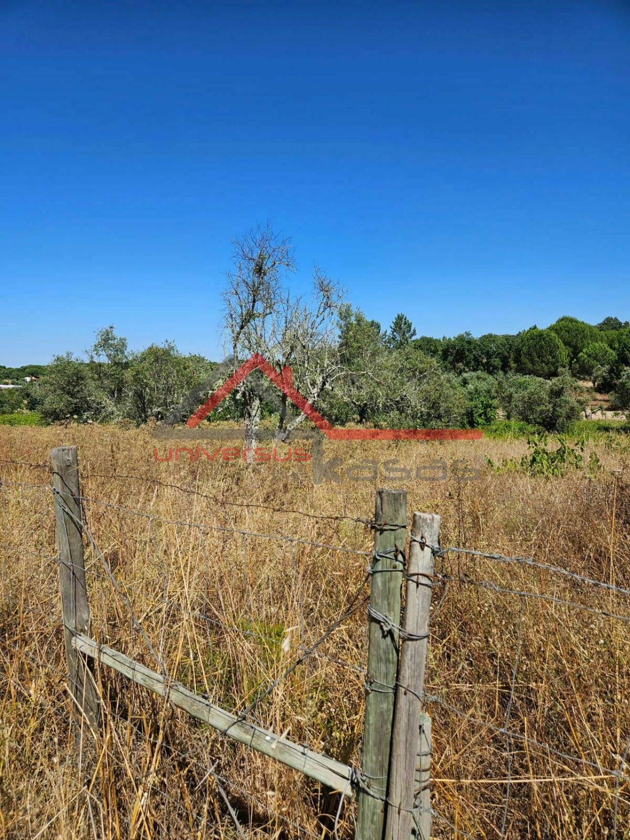 Terreno para Venda em Cabeção Foto 3
