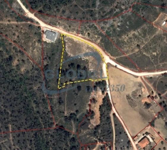 Terreno para Venda em Pedrogão