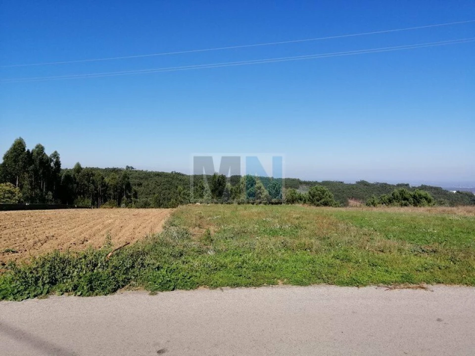 Terreno para Venda em Torres do Mondego Foto 2