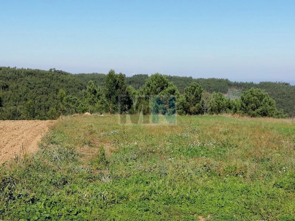 Terreno para Venda em Torres do Mondego Foto 3