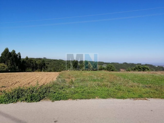 Terreno para Venda em Torres do Mondego Foto 2