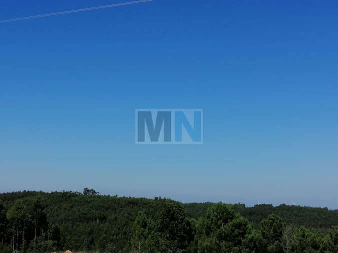 Terreno para Venda em Torres do Mondego Foto 5