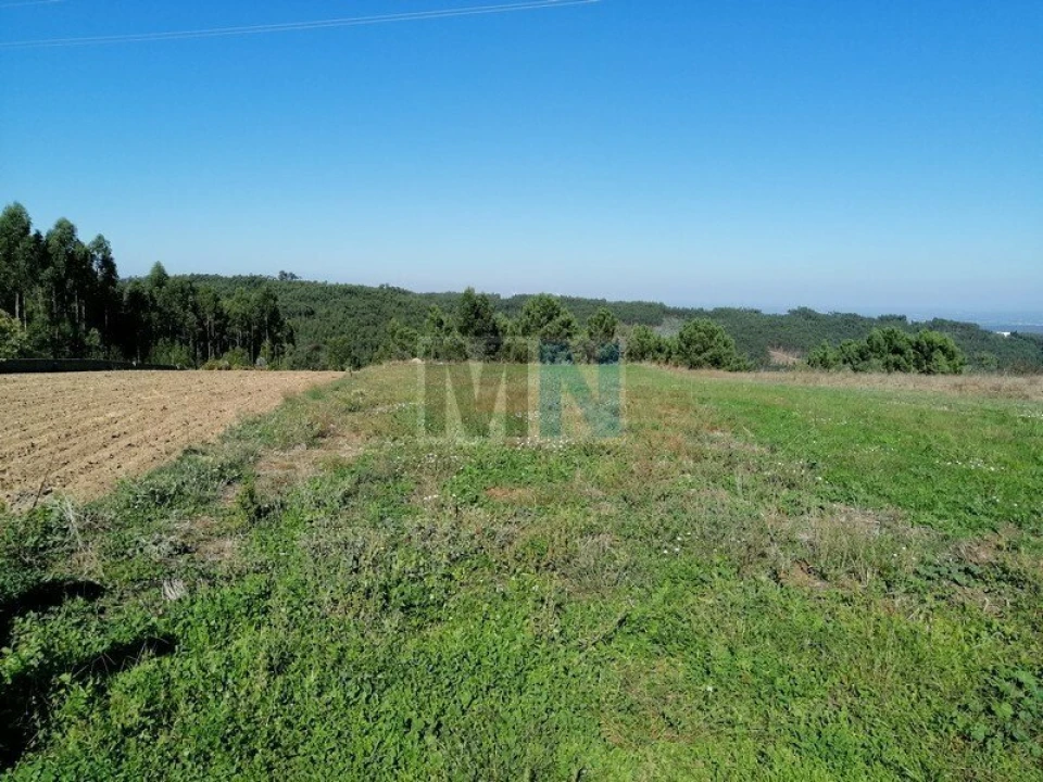 Terreno para Venda em Torres do Mondego Foto 1