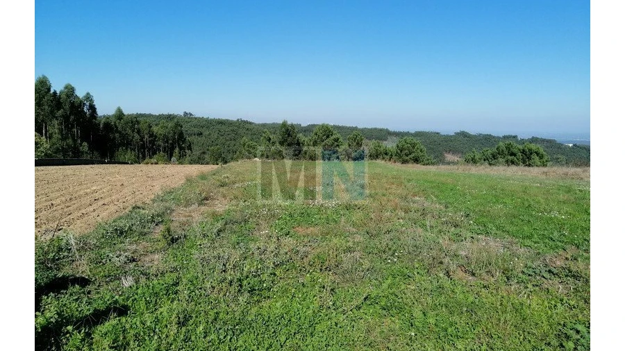 Terreno para Venda em Torres do Mondego
