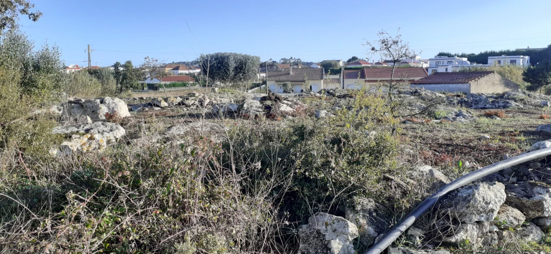 Terreno para Venda em São Bartolomeu dos Galegos e Moledo Foto 2