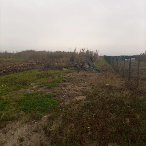 Terreno para Venda em Ferrel Foto 10