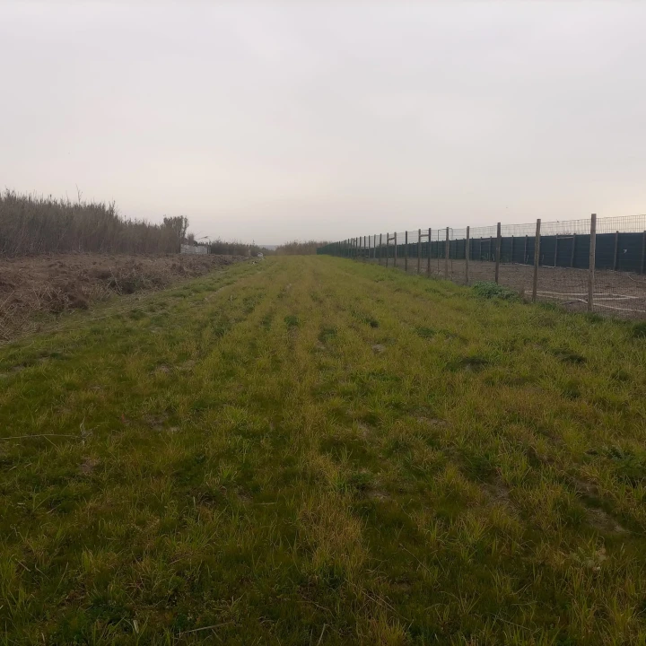 Terreno para Venda em Ferrel Foto 11