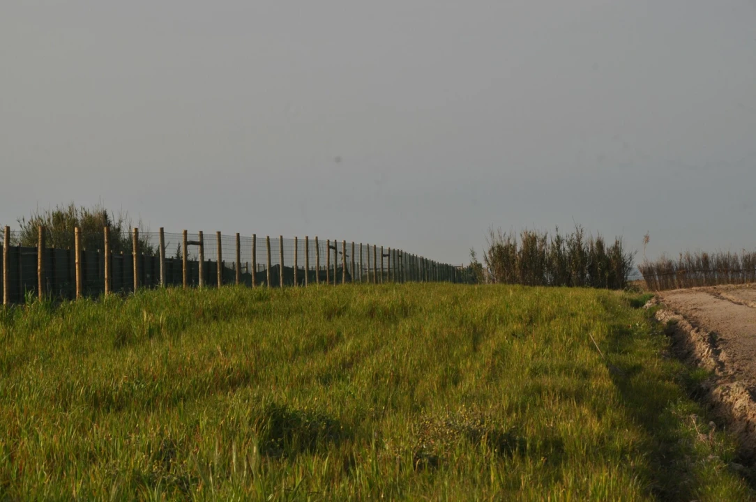 Terreno para Venda em Ferrel Foto 7