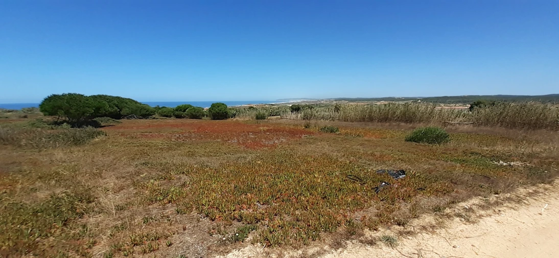 Terreno para Venda em Ferrel Foto 6