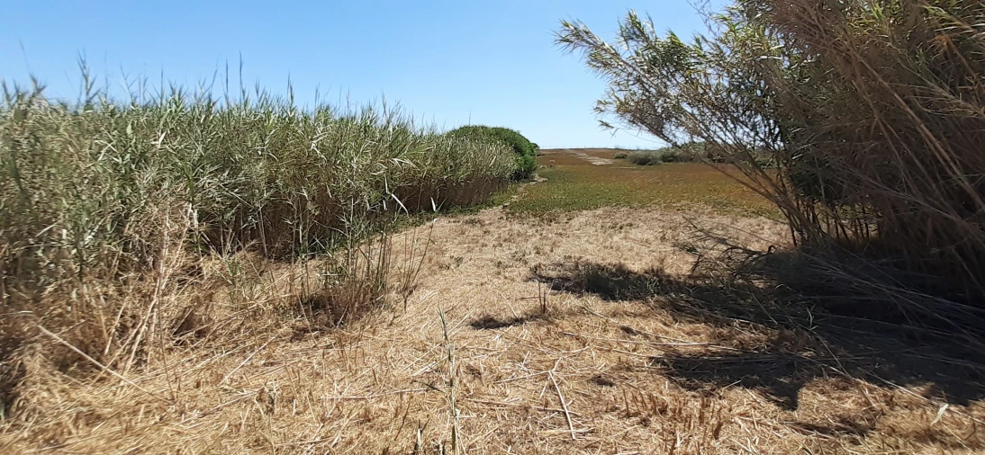 Terreno para Venda em Ferrel Foto 7