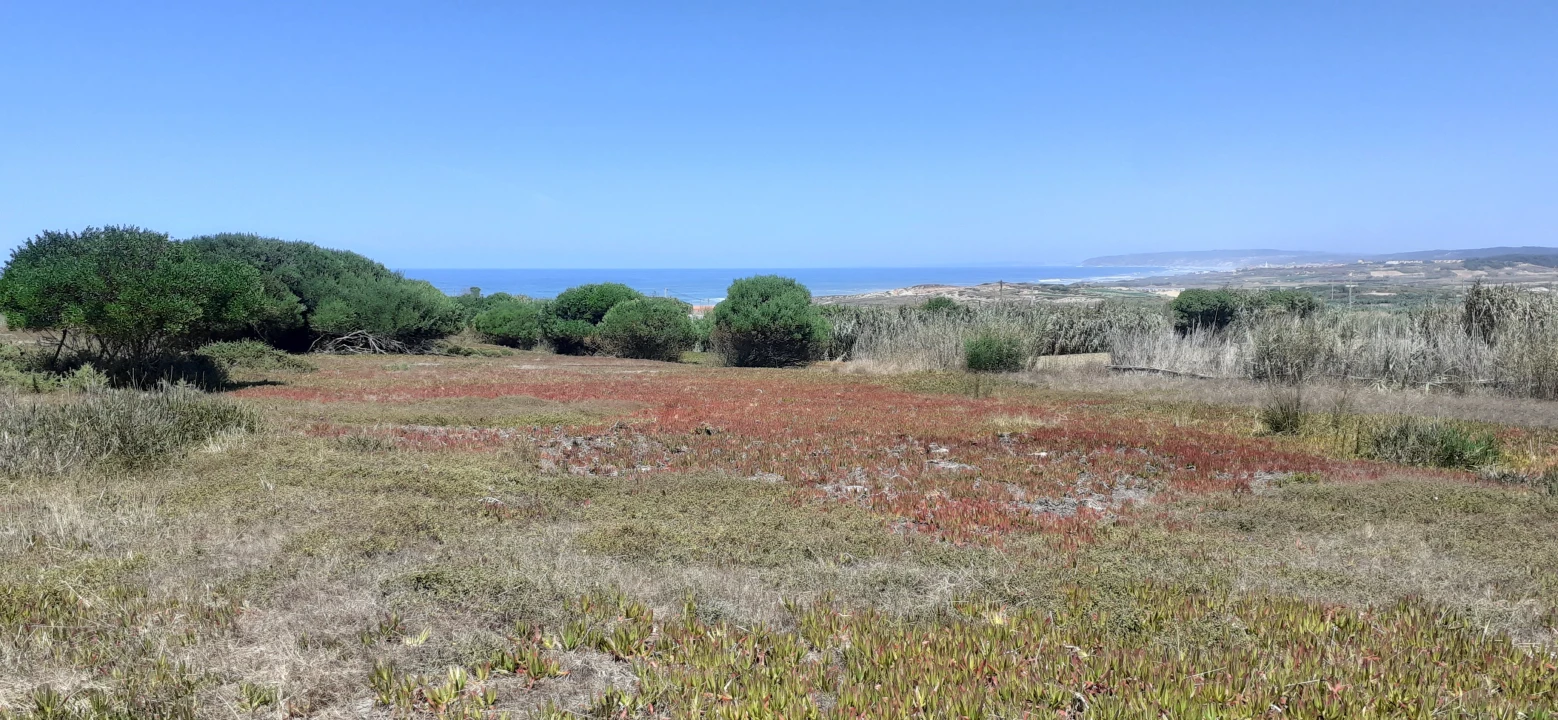 Terreno para Venda em Ferrel Foto 4