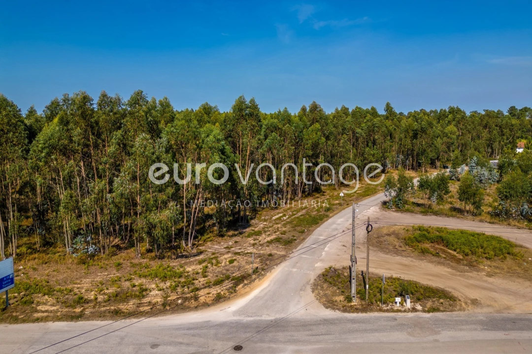 Terreno para Venda em Batalha Foto 4