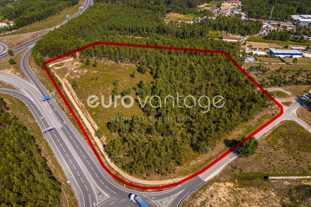 Terreno para Venda em Batalha Foto 18