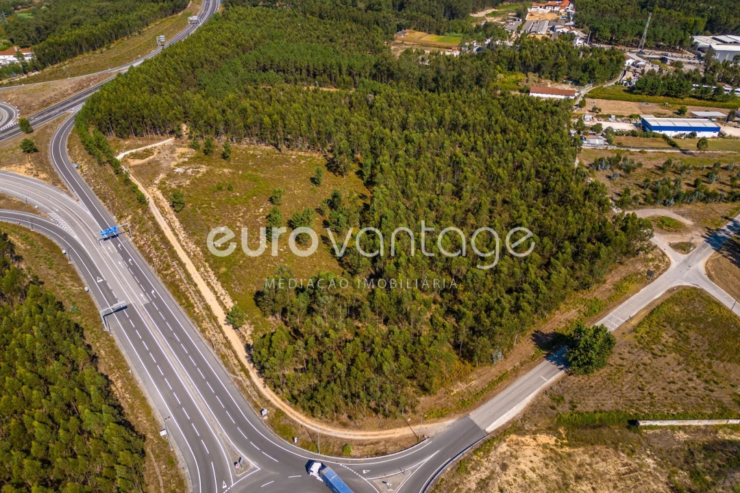 Terreno para Venda em Batalha Foto 17