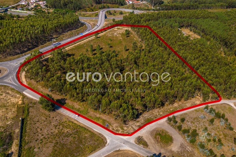 Terreno para Venda em Batalha Foto 16