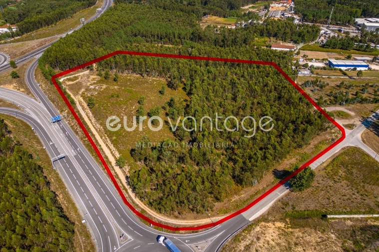 Terreno para Venda em Batalha Foto 18