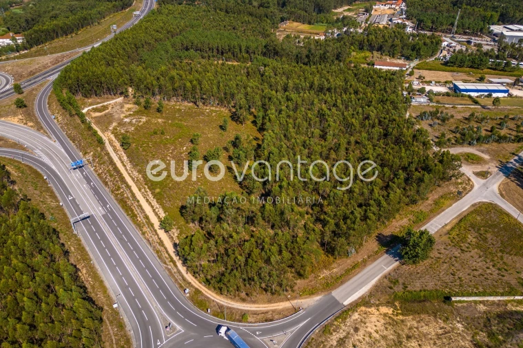 Terreno para Venda em Batalha Foto 17