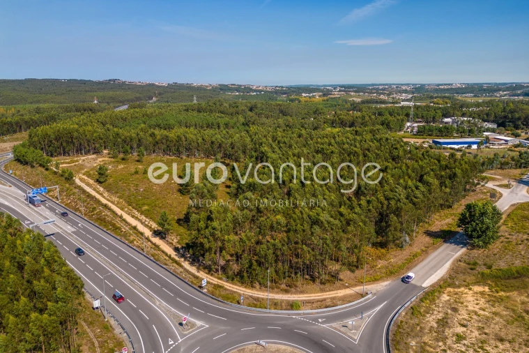 Terreno para Venda em Batalha Foto 19